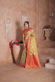Np Saree  DN 9747A TO 9747D